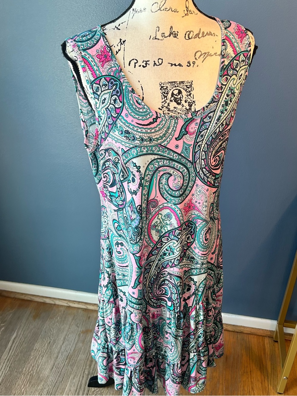 Ivy lane Sleeveless Paisley V-Neck Dress